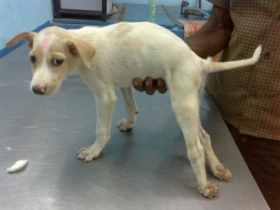 Accident-spinal injury--a before 2