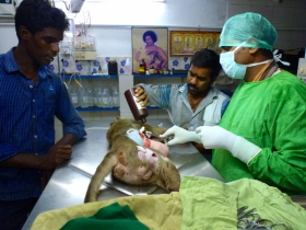 34-6 Healing_touch_of_Dr.Raja