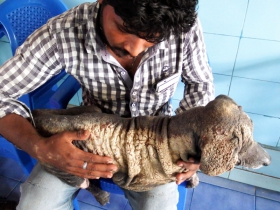 63-4. Following_morning.Oh_my