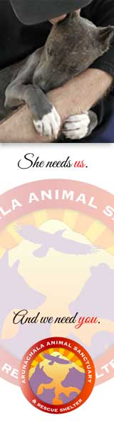 Arunachala-Animal-Shelter-Banner skyscraper static