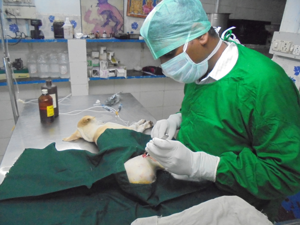 Dr. Raja with his magical hands and pure Heart.