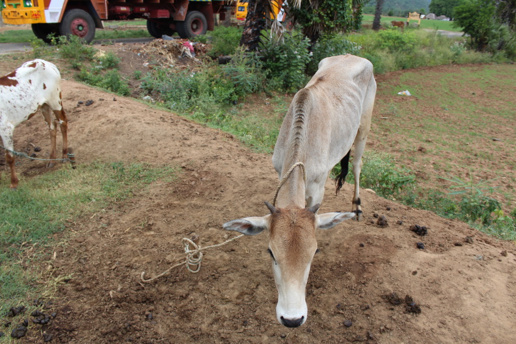 Don't worry,babe.We'll take very good care of you.