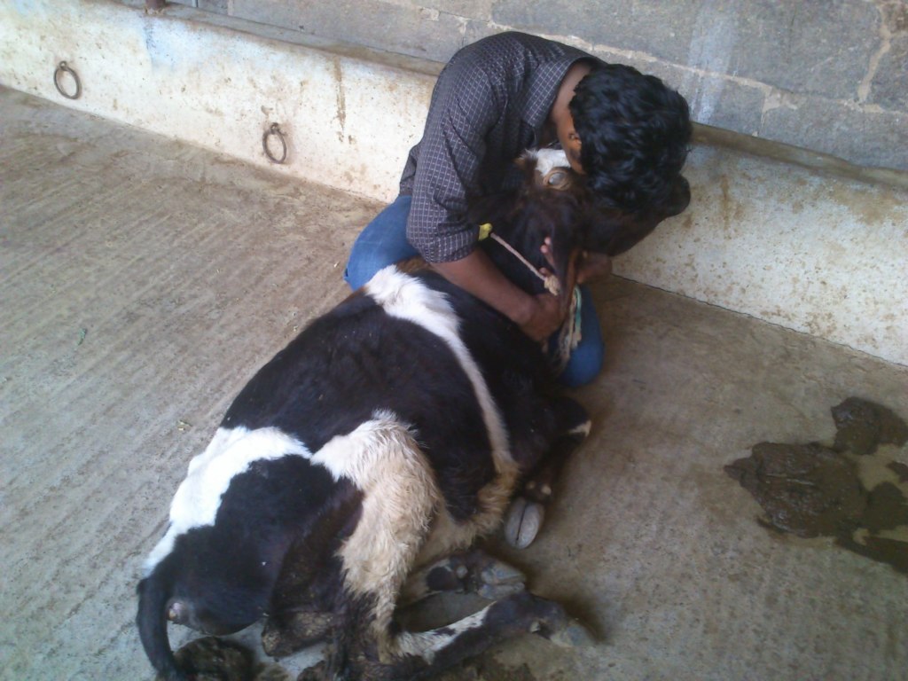 Vishwa...During a rescue.