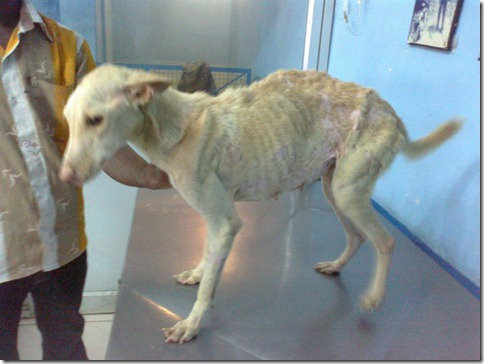 After-Thank God. Now for some food, sweetie.