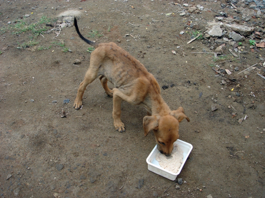 And this Sweetie too, who's not doing too well.