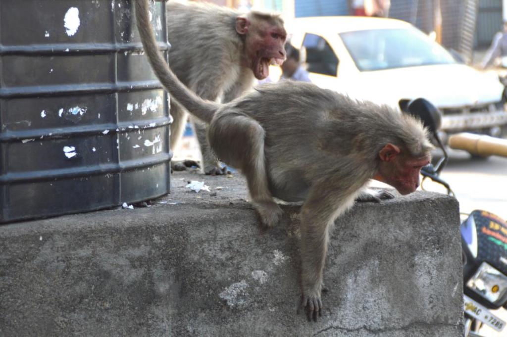 Mom. Almost hysterical..Vishwa got the Little One.