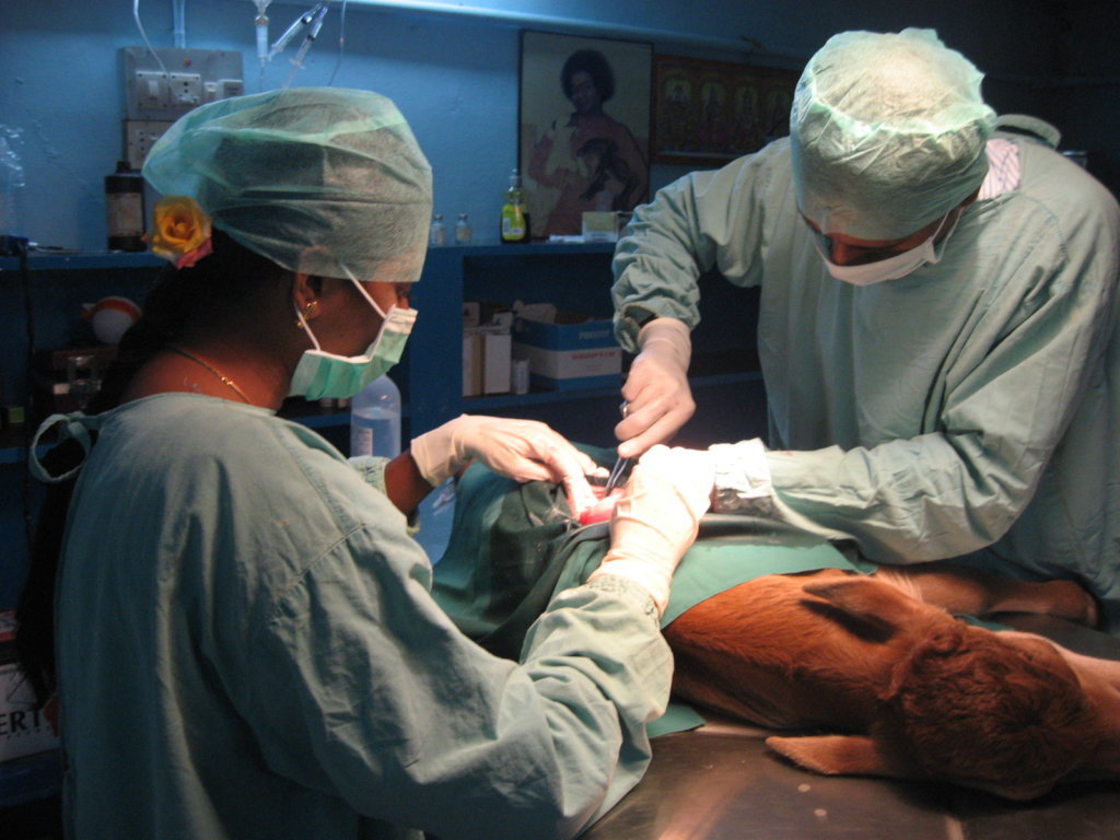 Dr. Raja with his magical hands and Pure Heart.