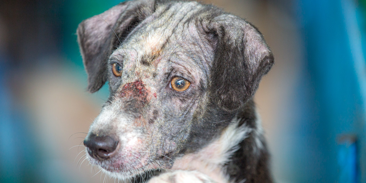 04-20131230150205-RD_36449