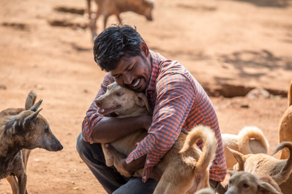 Welcome to our beloved Shelter.