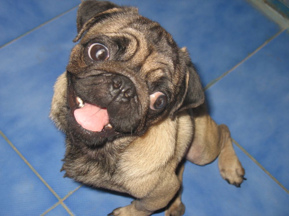 Ricky...Our "Poster Boy".