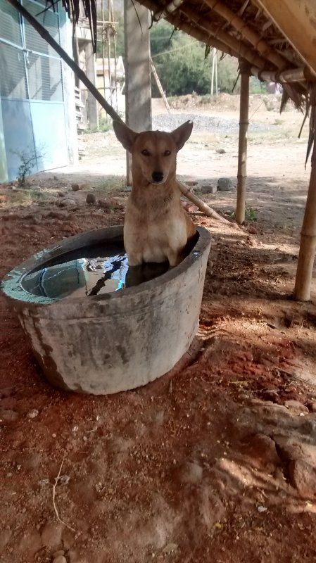 Oh Yeh!!! Who sez for drinking water, only?