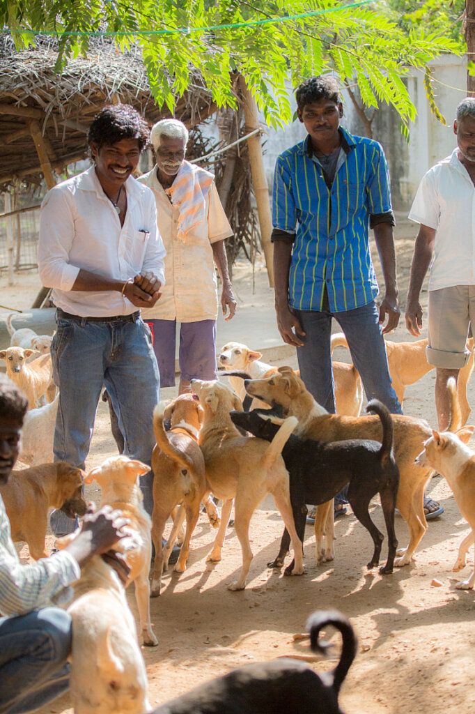 Welcome to our beloved Shelter!