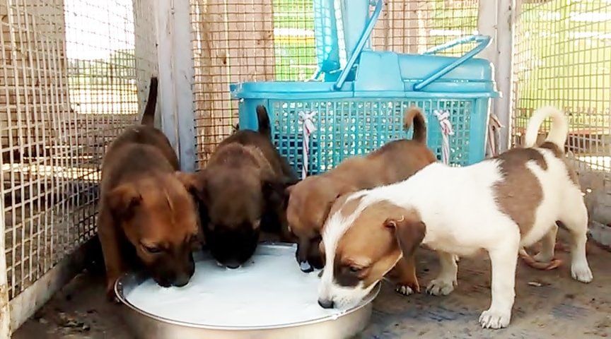 Welcome..Welcome..Welcome..to our beloved Shelter.