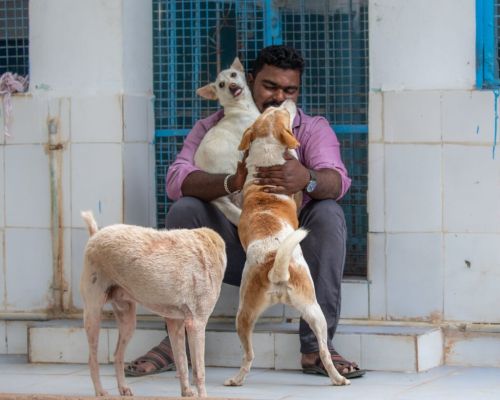 Welcome to our beloved Shelter!