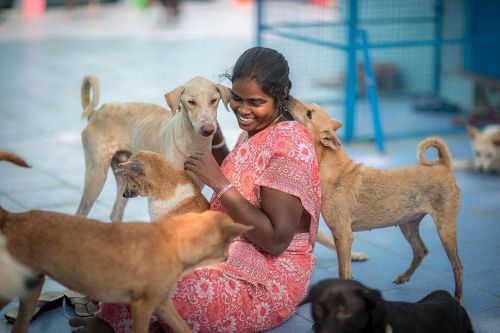 Welcome to our beloved Shelter