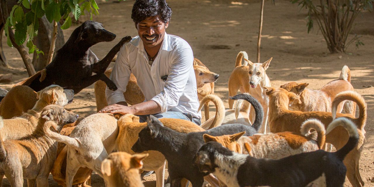 20131230150721-RD_36617